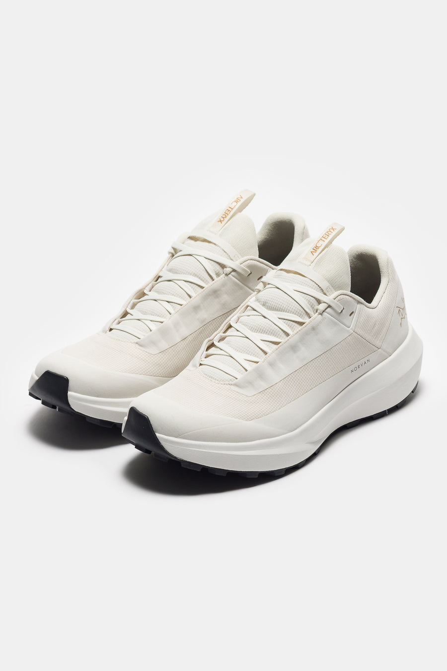 Arc'teryx Norvan LD 4 Gore-Tex Sneaker in Arctic Silk/Arctic Silk - Notre