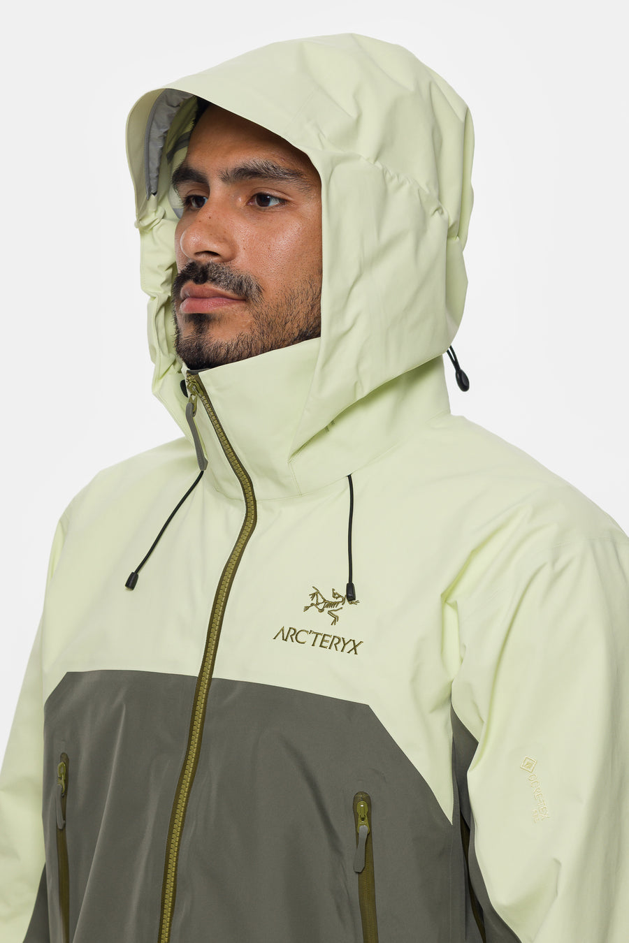 Arc'teryx Beta AR Jacket in Ray/Forage - Notre