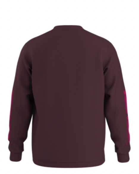 Arc'teryx Kragg Cotton Dream State LS T-Shirt in Ultima/Renegade - Notre