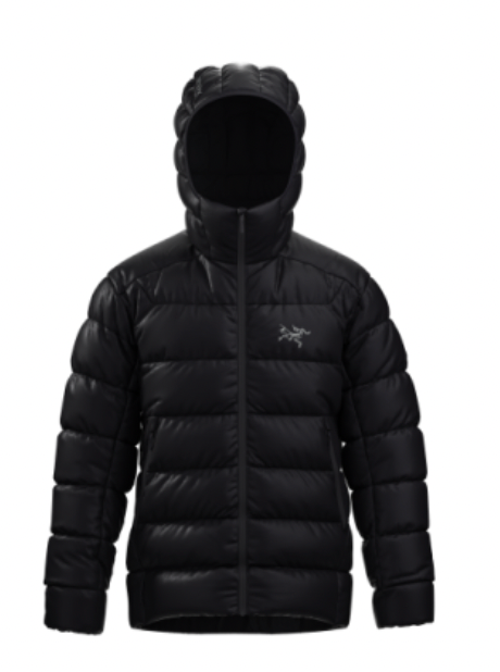 Arc'teryx Cerium SV Hoody in Black - Notre
