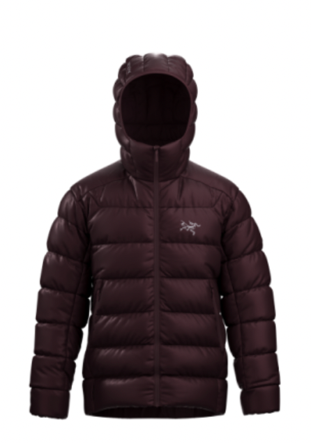 Arc'teryx Cerium SV Hoody in Ultima - Notre